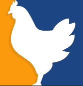 Chicken.gg Logo